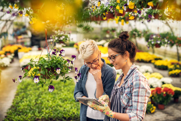 istockphoto-915892582-612x612.jpg istockphoto-915892582-612x612.jpg